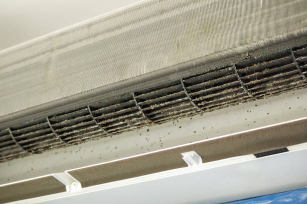 Best Professional Duct Cleaning Services  in Rosedale, CA